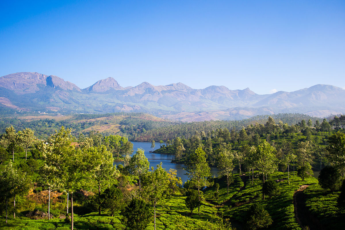 Best Places to Visit in Ooty